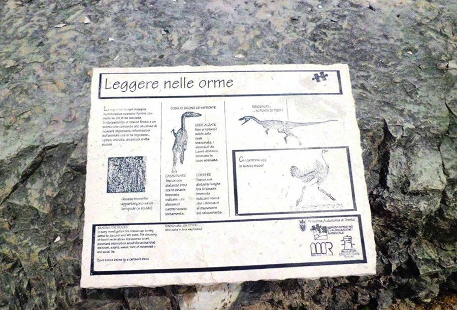 Le Orme dei Dinosauri